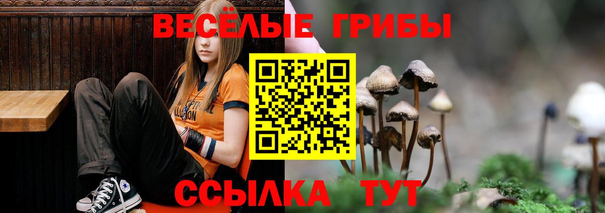 Псилоцибиновые грибы мицелий Сыктывкар
